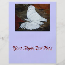 White English Trumpeter Flyers