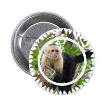 White Faced Capuccin Monkey Round Pin