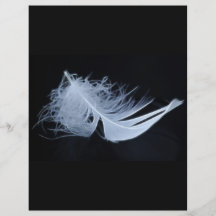 White feather - angelic by nature flyers