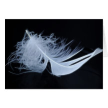 White feather - angelic by nature greeting cards