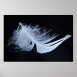 White feather - angelic by nature poster