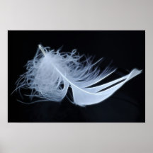 White feather - angelic by nature poster