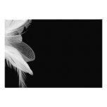 White Feathers 3.5x5 Enclosure Card 2 Personalised Invite