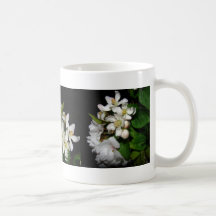 White Flower Blossoms Mug