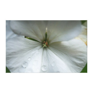 White Flowers Wrapped Canvas Prints | Zazzle.com.au