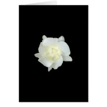 White flower greeting cards