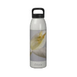 White Flower Liberty Bottle Reusable Water Bottles