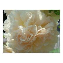 White Flower - Save the date cards Postcards