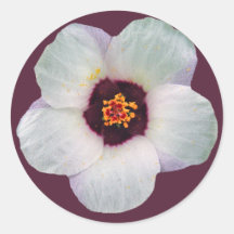 White flower Sticker