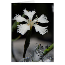 white flower thank you note card