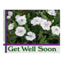 white flowers get well soon post card