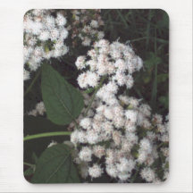 White flowers mousepad