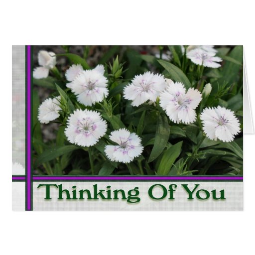white flowers thinking of you greeting card