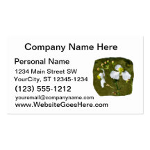 White flowers yellow centre round buds business card template