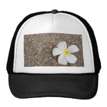 White Frangipani flower on rock surface Trucker Hats