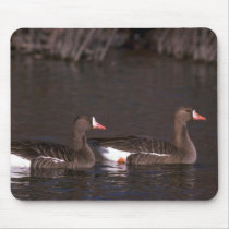 White-fronted Geese mousepads