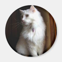 White Furred Fridge Magnet