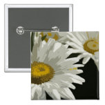 White  Garden Daisy Pinback Button