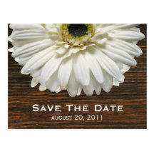 White Gerbera & Barnwood Save The Date Postcard