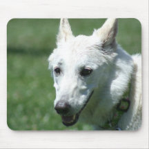 White German Shepherd Mousepad