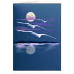White Gulls  Card