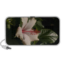 White Hibiscus Flower OrigAudio Doodle Speaker