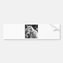 White Horse Bumper Stickers
