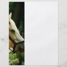 White Horse Closeup Flyer Design