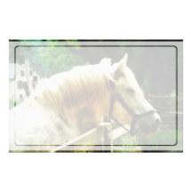 White Horse Closeup Personalized Stationery