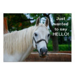 White Horse Greeting Cards