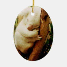 White Koala Bear Ornament