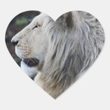 White lion in repose heart stickers