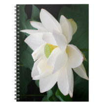 White Lotus Notebook