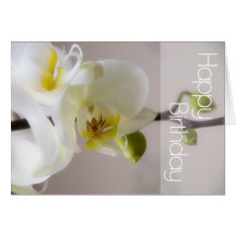 White Orchid Birthday Card