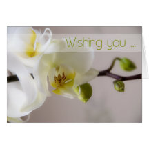 White Orchid Birthday Card