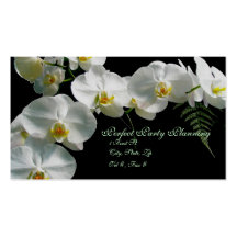 White Orchid Business Card