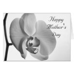 White Orchid Mothers Day Card
