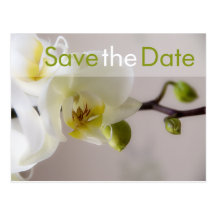 White Orchid • Save the Date Postcard