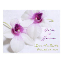 White Orchid Save the Date postcards