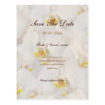 White orchid save the date wedding stylish post cards