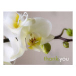 White Orchid • Thank You Card Personalized Invite