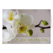 White Orchid Wedding Congratulation Card