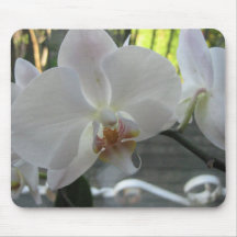 White orchids mousepads