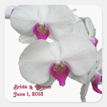 White Orchids Stickers