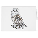 White Owl Greeting Cards