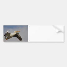 White Pelican Departure Bumper Sticker