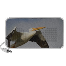 White Pelican Departure Notebook Speaker
