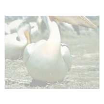 White Pelican Personalized Invite