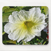 White Petunia Series Coordinating Items Mousepad