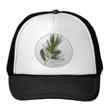 White Pine Tree Hat